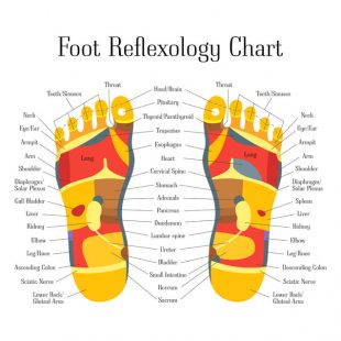Cartoon Reflexology Feet Alternative Medicine. Vector